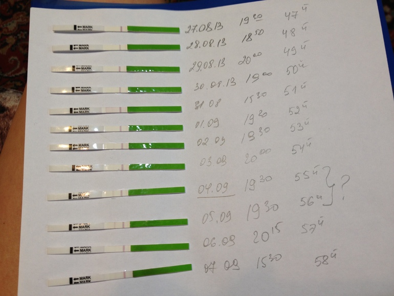 Тест на беременность 2 недели после зачатия фото теста
