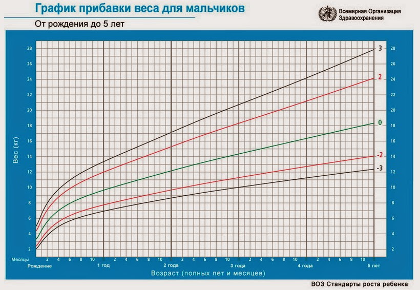 Вес до года таблица воз Нормы прибавки веса у детей до года воз