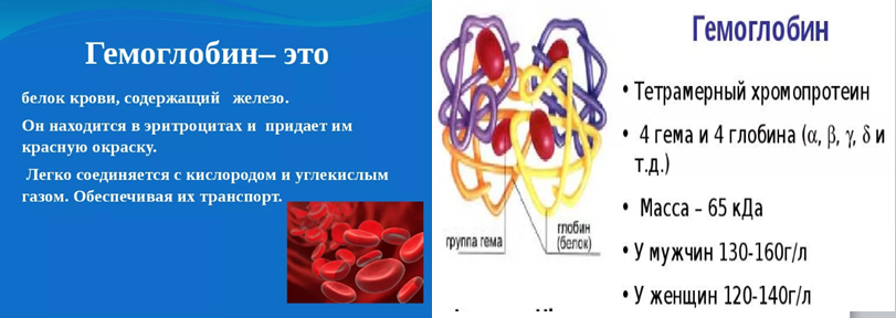 Тест гемоглобина в крови. Белки крови гемоглобин. Гемоглобин это белок крови. Железо в гемоглобине. Гемоглобин и железо в крови.