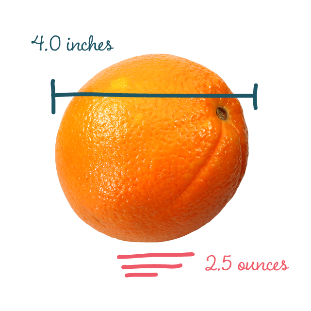 Размер плода фруктами. Размер апельсина. 15 Недель беременности размер плода. Фрукты по неделям. 15 Недель беременности фрукт.