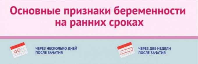 Первые признаки беременности до месячных. Первые признаки беременности на ранних сроках. Симптомы беременности на ранних сроках до месячных. Признаки беременности на ранних сроках до задержки. 1 Признаки беременности на ранних сроках.