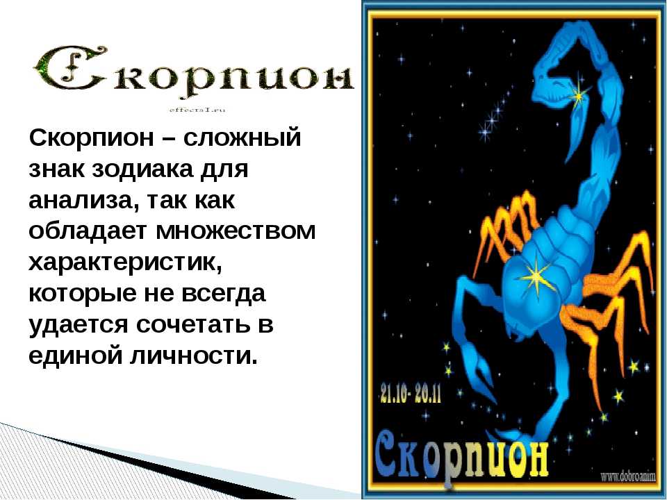 Гороскоп скорпион с 8 по 14 апреля. Знак зодиака Скорпион. Скорпион характеристика. Характер скорпиона. Скорпион знак зодиака характеристика.