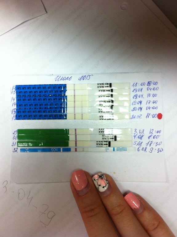 Тест на беременность цикл. 31 День цикла тест. Динамика тестов по ДЦ. Динамика тестов по дням цикла. 31 День цикла тест на беременность.
