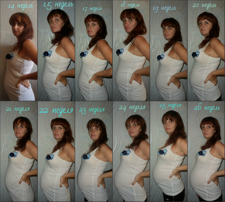 19 недель в месяцах. Месяцы беременности. Живот беременной по месяцам. Беременность по неделям и месяцам живот. Недели беременности по месяцам.