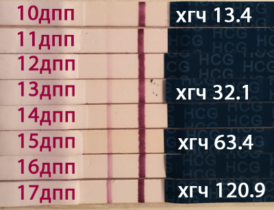 Рост хгч. ХГЧ на 5 ДПП пятидневок. ХГЧ на 11 ДПП пятидневок. ХГЧ эко 10 ДПП. ХГЧ на 6 ДПП пятидневок.