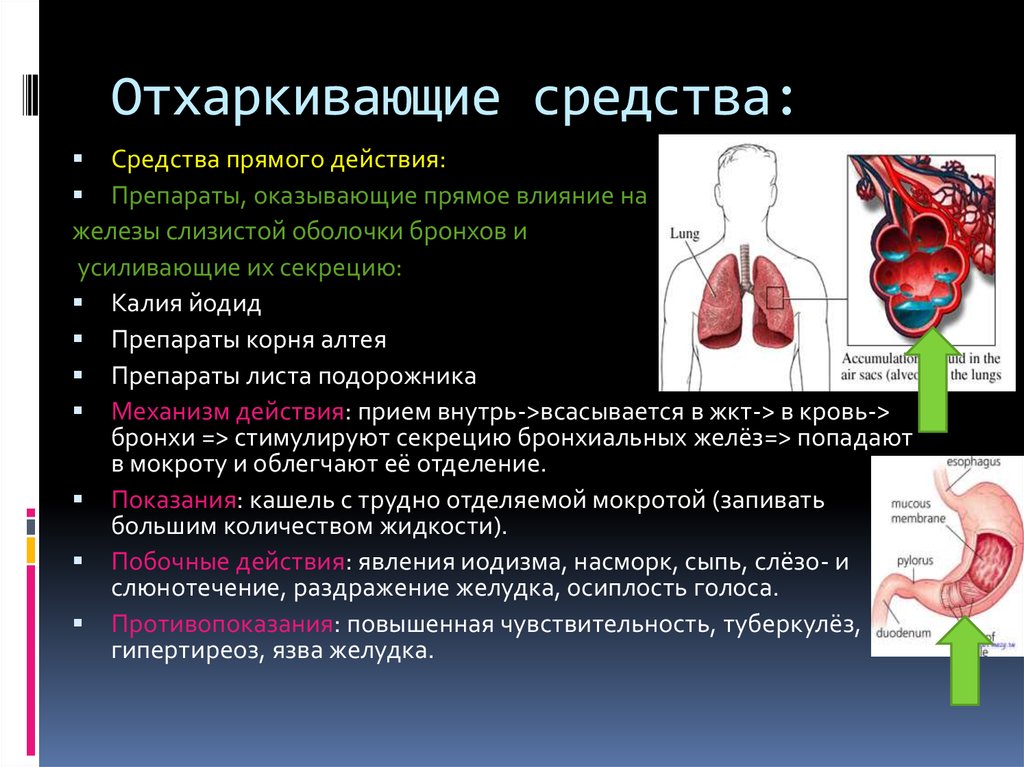 Отхаркивающие. Механизм действия отхаркивающих веществ. Механизм отхаркивающих средств. Показания отхаркивающих средств рефлекторного действия. Отхаркивающее прямого действия механизм действия.