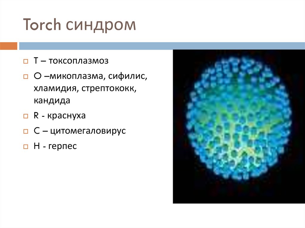 Вирус микоплазма. Торч синдром. Torch синдром инфекции. Торч комплекс токсоплазмоз.