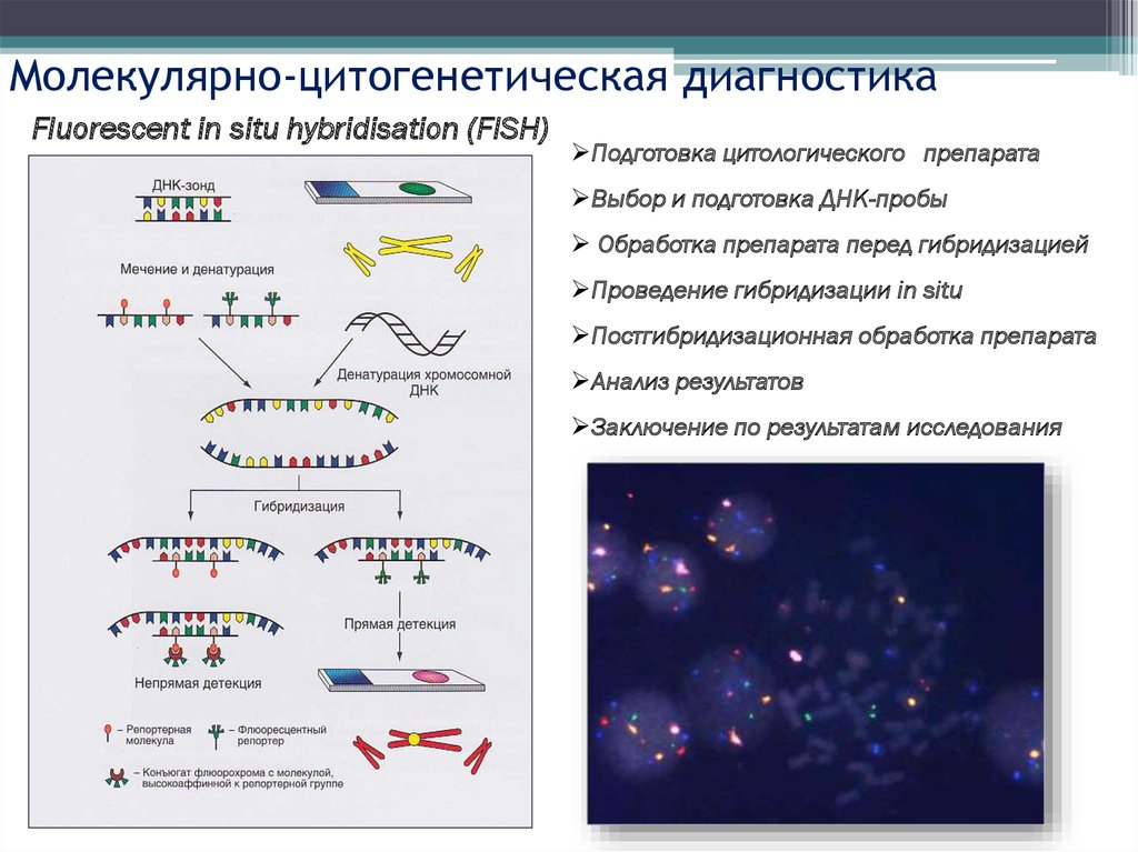 Молекулярный анализ