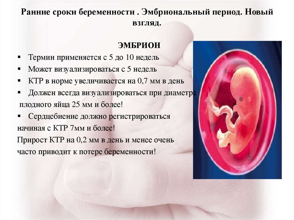 Где находится плод на ранних сроках беременности фото