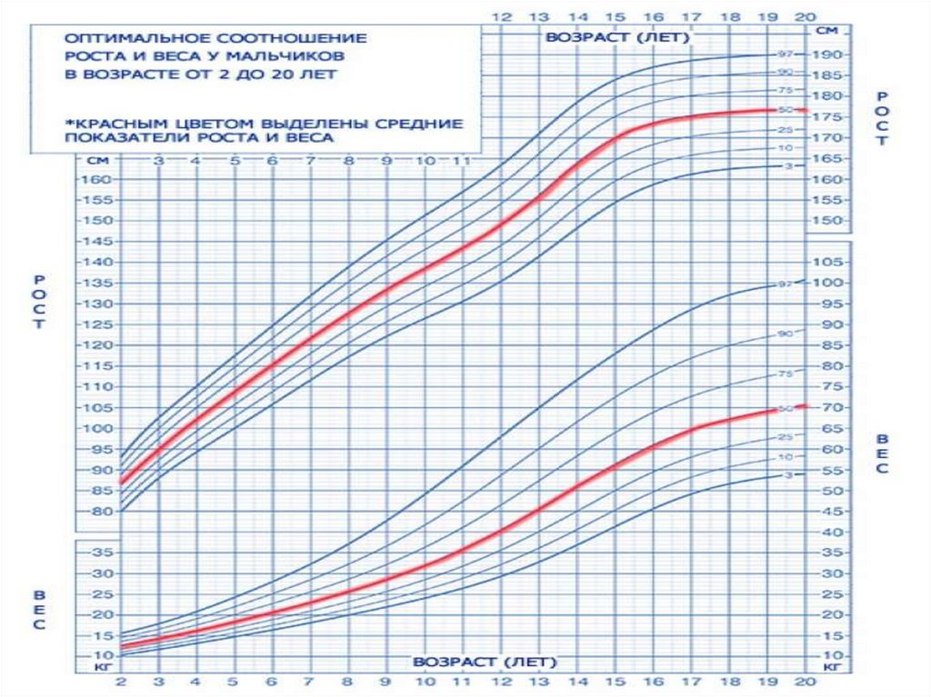 Рост детей таблица воз