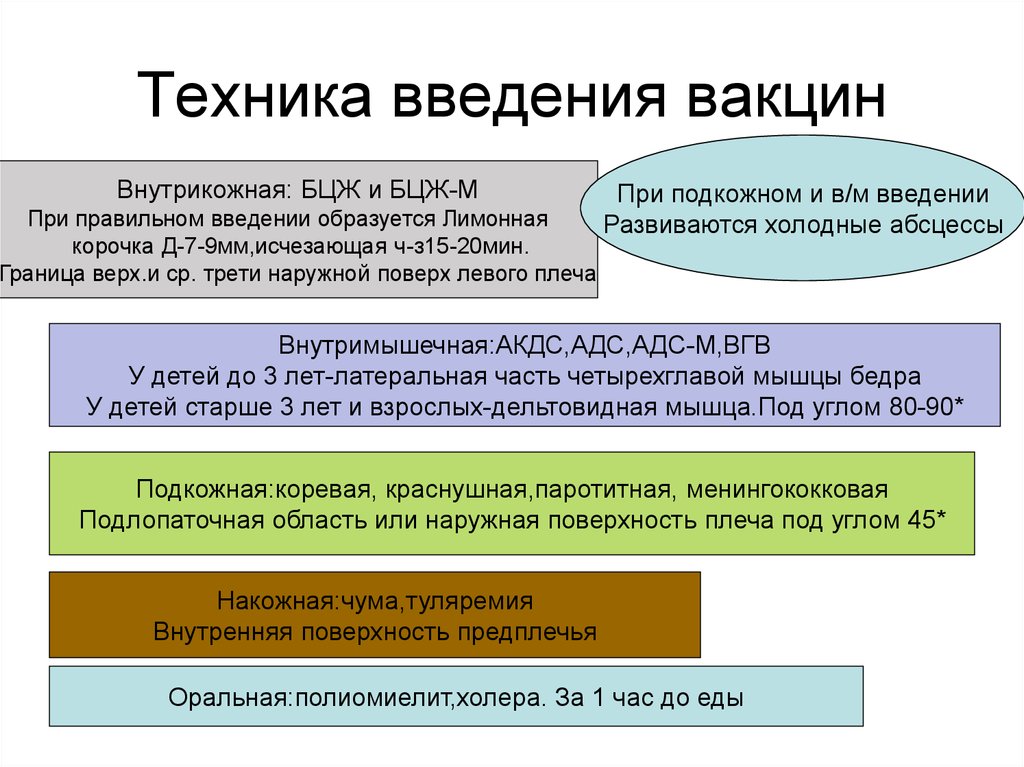 Правила введения вакцины. Техника проведения вакцинации БЦЖ алгоритм. Место введения вакцины БЦЖ. Введение БЦЖ вакцины алгоритм. Техника проведения вакцинации БЦЖ И БЦЖ.