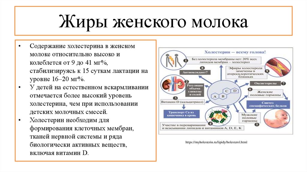 Жиры в молоке. Жиры женского молока. Жиры грудного молока. Жиры в грудном молоке. Жиры в женском молоке.