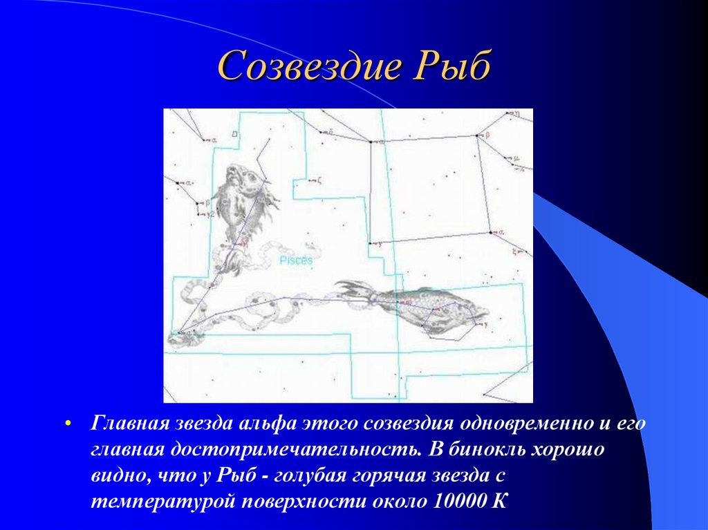 Рассказ о созвездии 2 класс. Созвездие рыбы. Рассказ о созвездии рыбы. Сообщение о созвездии рыбы. Созвездие рыбы доклад.