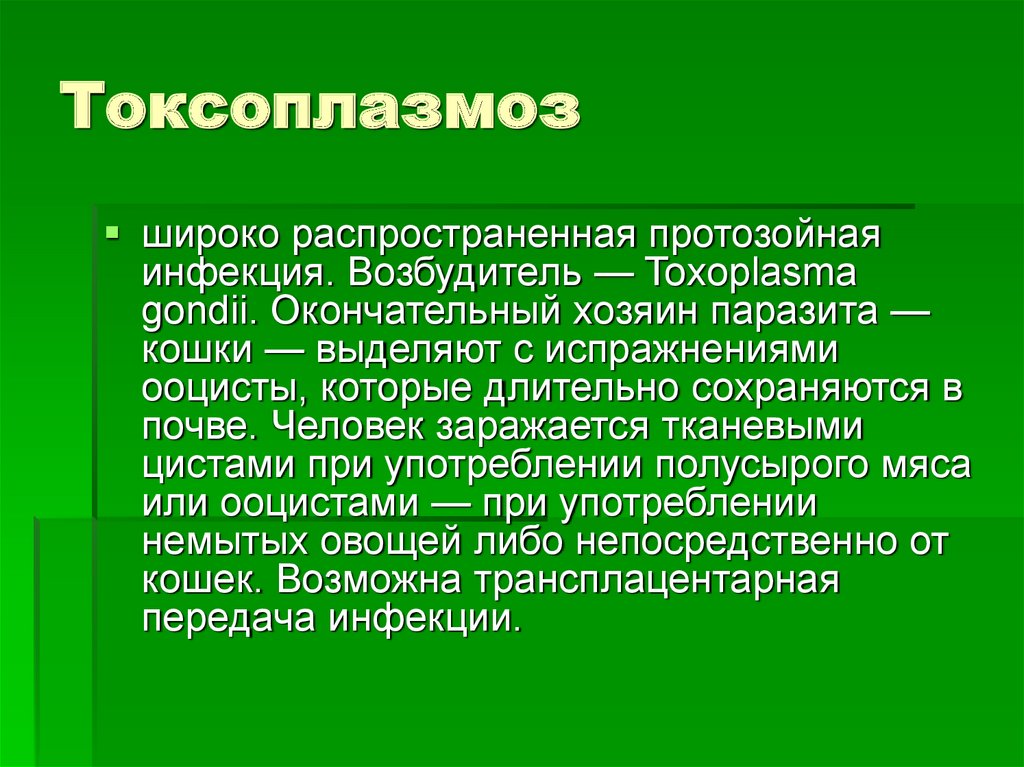 Токсоплазмоз у человека симптомы и лечение