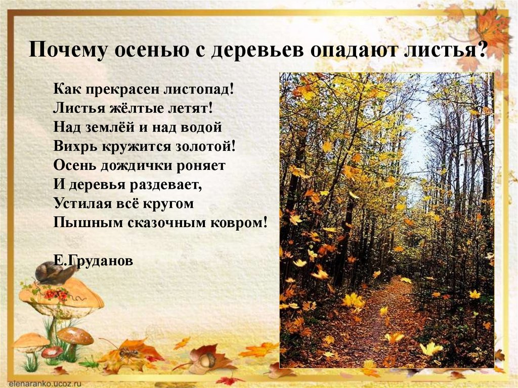 Текст в тумане кружатся. Описание осенних деревьев. Как прекрасен листопад. Как описать осенние деревья. Листопад листопад листья желтые.