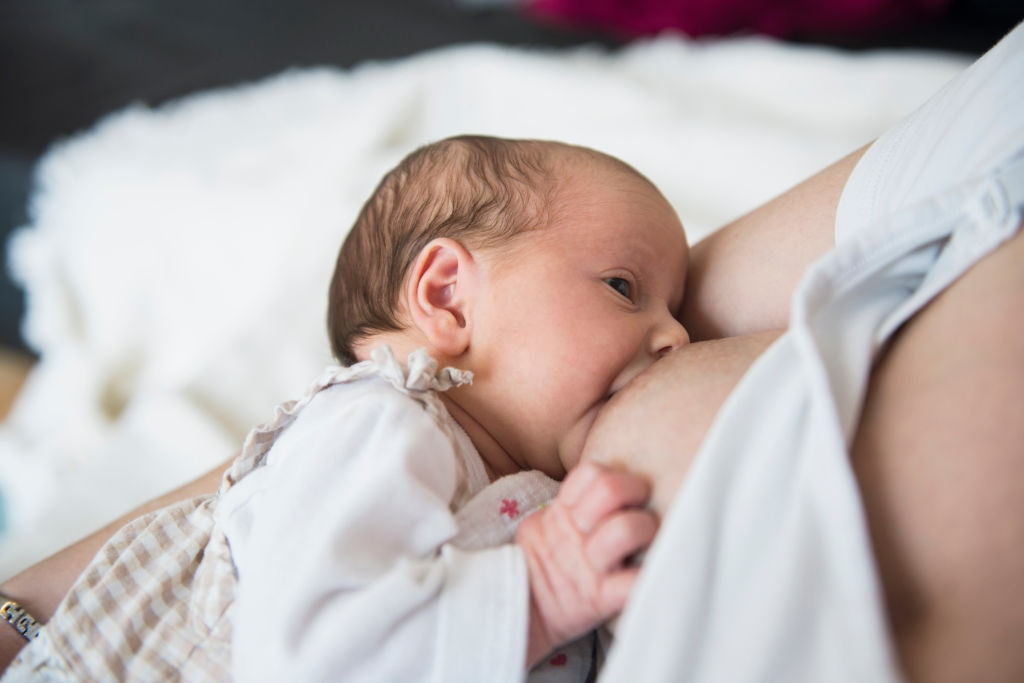 Кормление новорожденного фото. Breastfeeding Newborn Baby. Кормление грудью фотосток. Нежное кормление грудью. Кормление грудного ребенка видео.