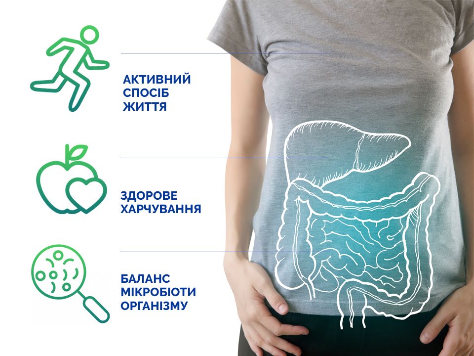 Микрофлора кишечника картинка