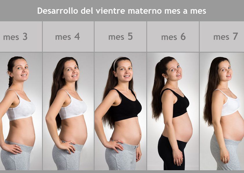 Размер живота беременных. Живот у беременных по месяцам. Живот беременной по неделям. Животики беременных по месяцам. Живот по неделям беременности.