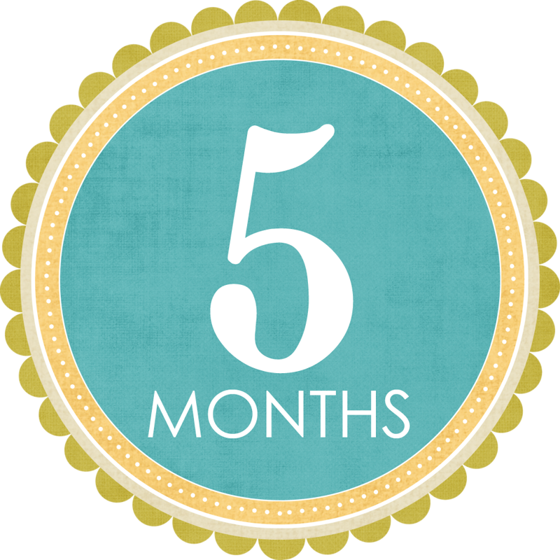 Карточки с надписью 6 months. 9 Месяцев стикер. Карточка 5 месяцев. Красивая надпись 1 месяц. Первые девять месяцев
