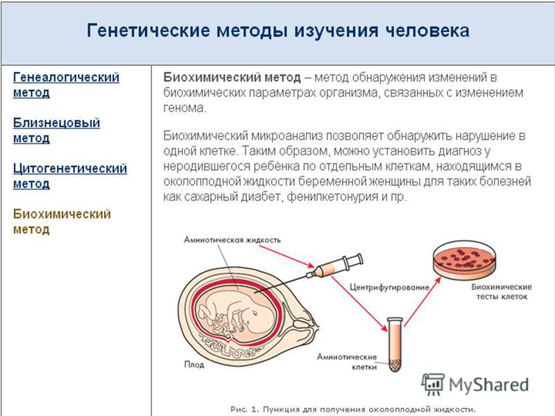 Биохимический метод исследования. Биохимический метод генетики. Биохимический и цитогенетический метод. Биохимические методы исследования генетики. Биохимические методы изучения генетики человека.