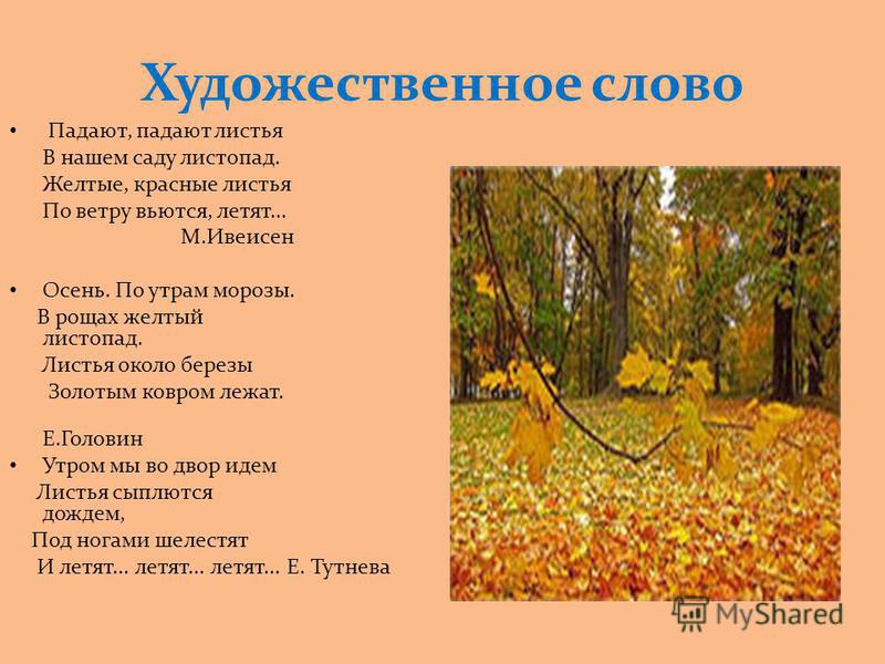 Песня листопад текст. В нашем саду листопад. Стих в нашем саду листопад. Падают листья в нашем саду. Падают падают листья в нашем саду.