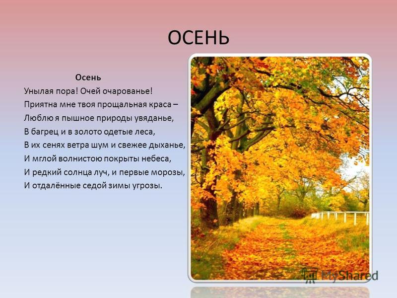 Осенняя пора стих. Осенняя пора очей очарованье стих. Стих про осень осенняя пора очей очарованье. Стихи про осень унылая пора очей очарованье. Кто написал осенняя пора очей очарованье.