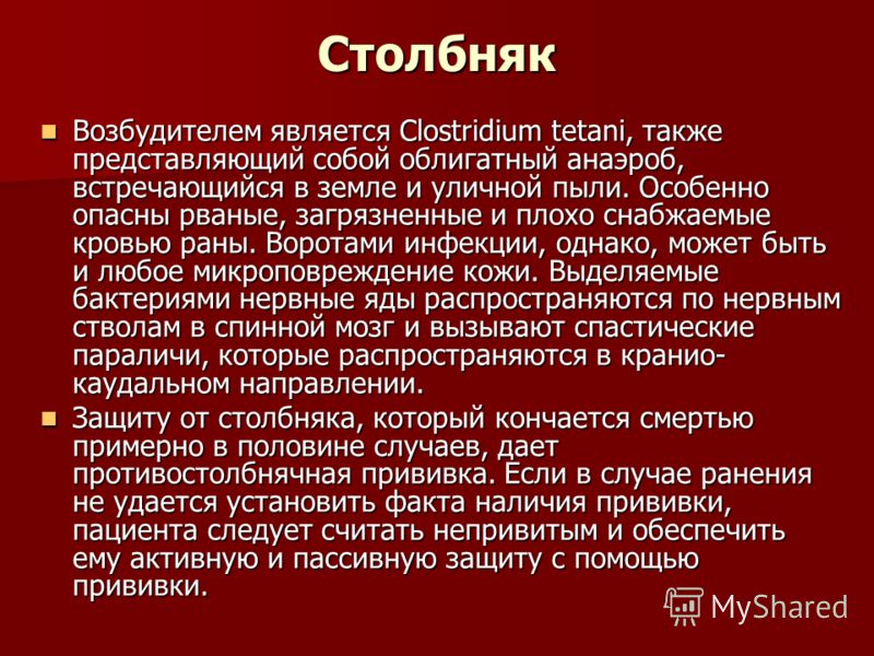 Столбняк возбудитель