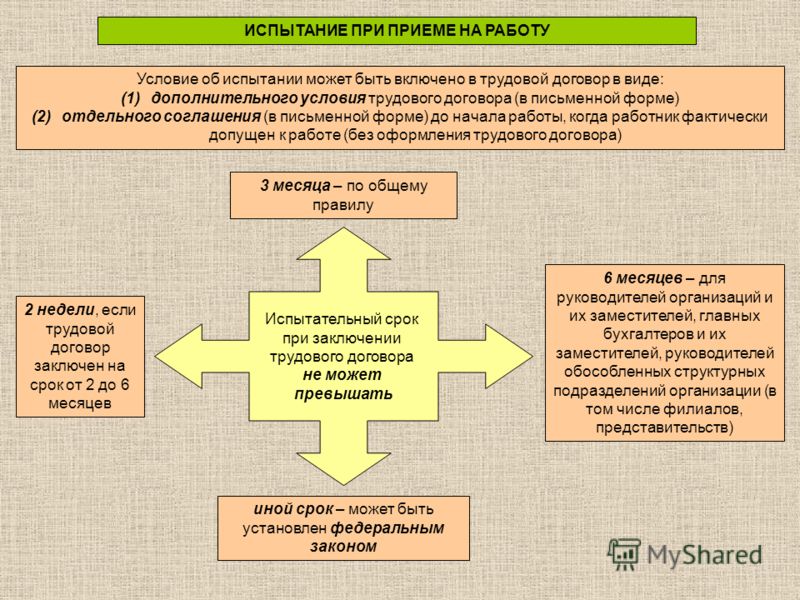 Можно ли испытательный срок. Виды испытаний при приеме на работу. Испытание на приеме на работу. Испытания при приеменна работу. Испытание при приеме на работу схема.