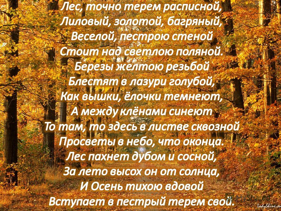 Точно терем. Золотой багряный Бунин. Бунин ...лес....лиловый золотой. Лиловый золотой багряный стих Бунин. Стихотворение Бунина лес словно Терем расписной.