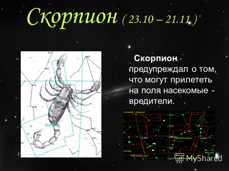 Гороскоп на 3 апреля скорпион