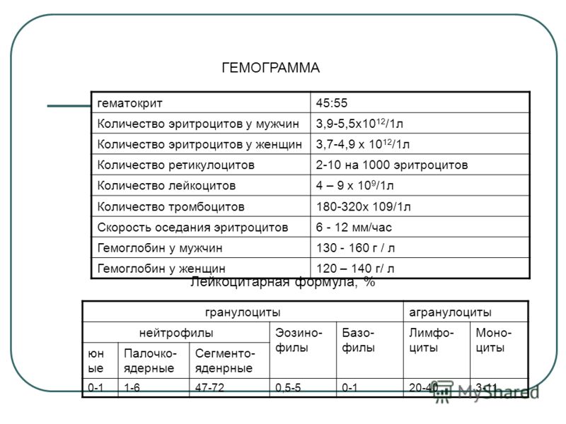 Гемограмма крови. Расшифровка анализа гемограммы. Формула крови гемограмма. Гемограмма для зачета.