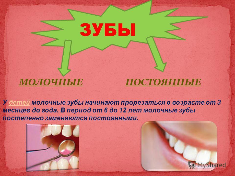 Как отличить молочный зуб от постоянного у детей фото