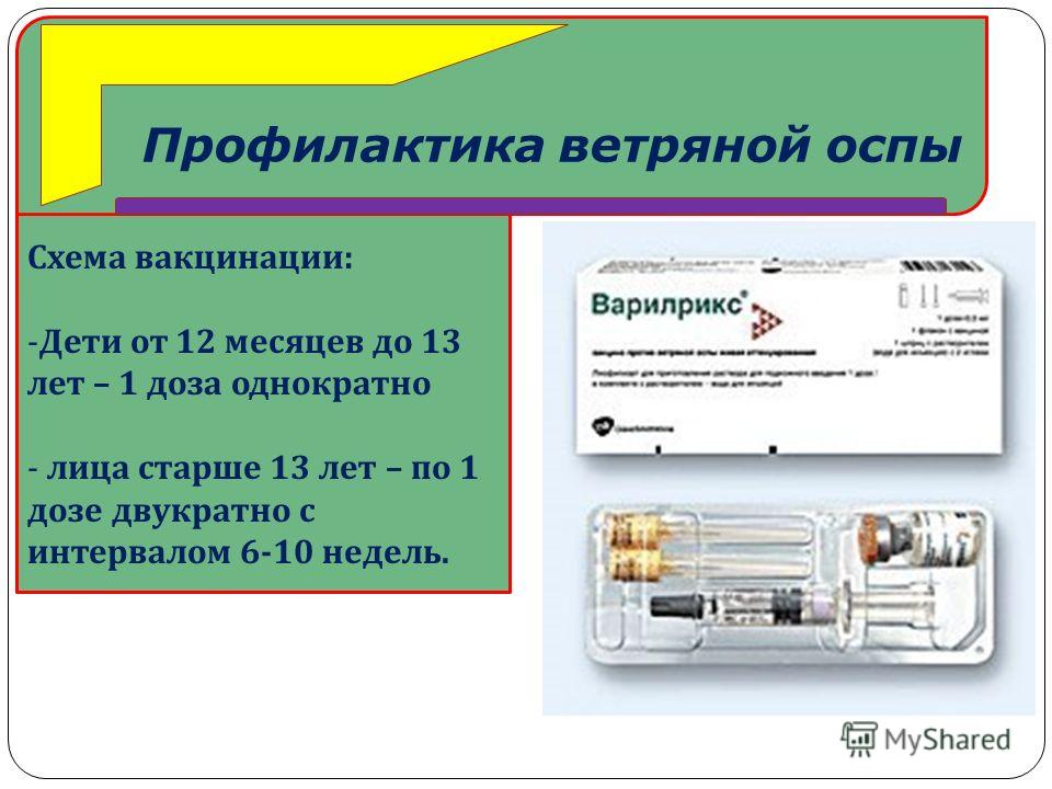 Вакцинопрофилактика ветряной оспы презентация