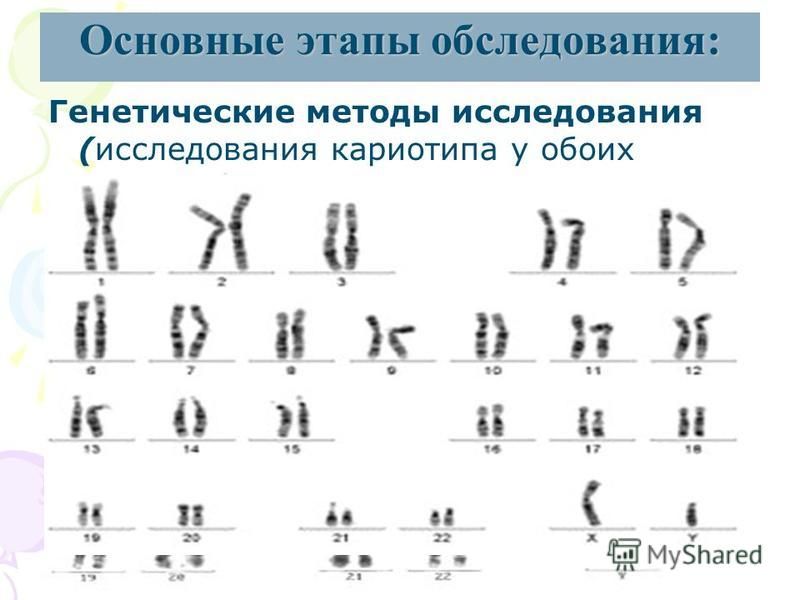 Кариотип 46 хх