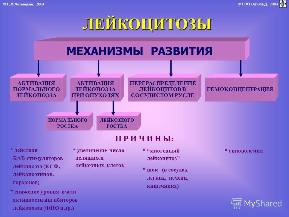 Механизм развития лейкопении. Виды лейкоцитозов. Механизм лейкоцитоза. Механизмы развития лейкопоэза. Лейкоцитозы по механизму развития.