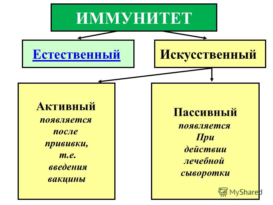 Иммунитет вызванный после введения сыворотки называется. Прививка Тип иммунитета. Вид иммунитета после вакцинации. Иммунитет после введения вакцины. При введении вакцины формируется иммунитет.