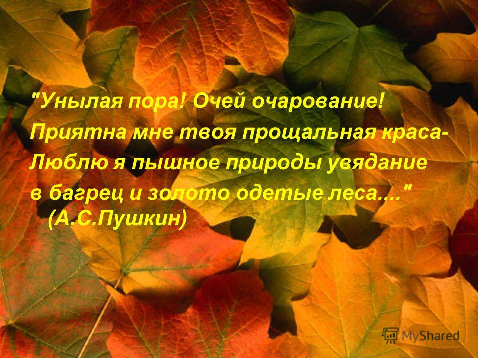 Унылая пора очей очарованье. Унылая пора очей очарованье приятна мне. Пушкин унылая пора очей очарованье приятна мне твоя прощальная Краса. Унылное пора очей очеравпние.