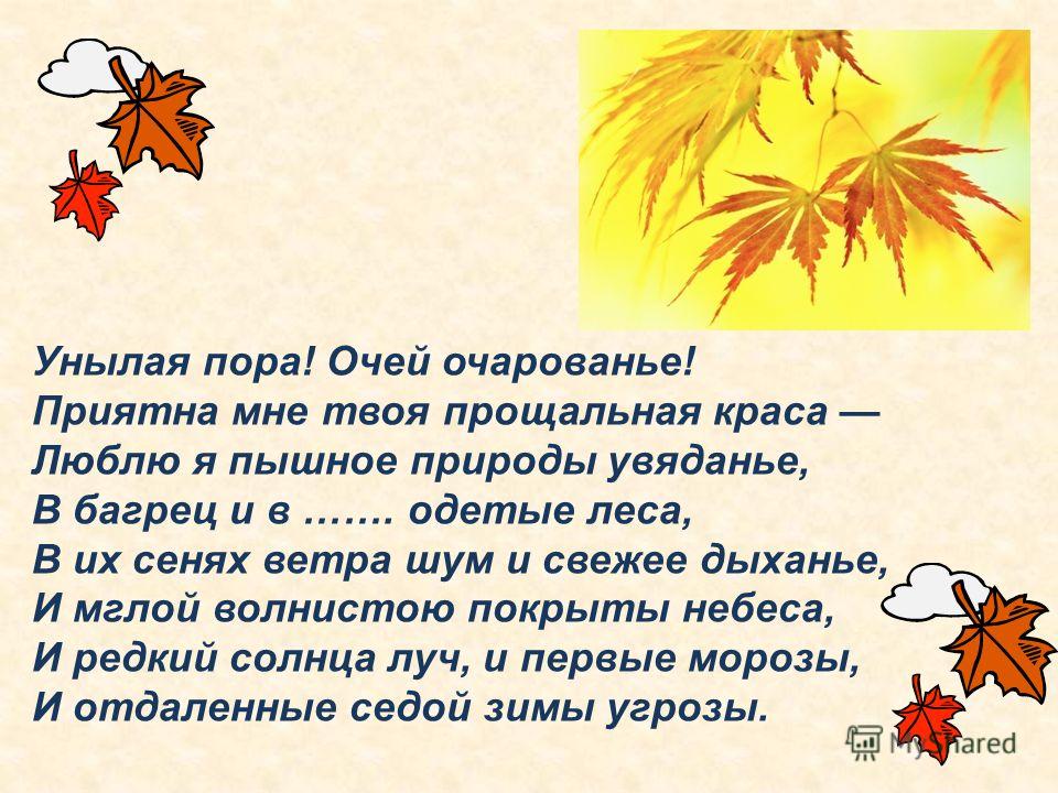 Диктант осень пора увядания природы когда вспыхивает. Унылая пора очей очарованье приятна мне твоя прощальная Краса. Унылая пора. Приятна мне твоя прощальная Краса. Стих унылая пора очей очарованье приятна мне твоя прощальная Краса.