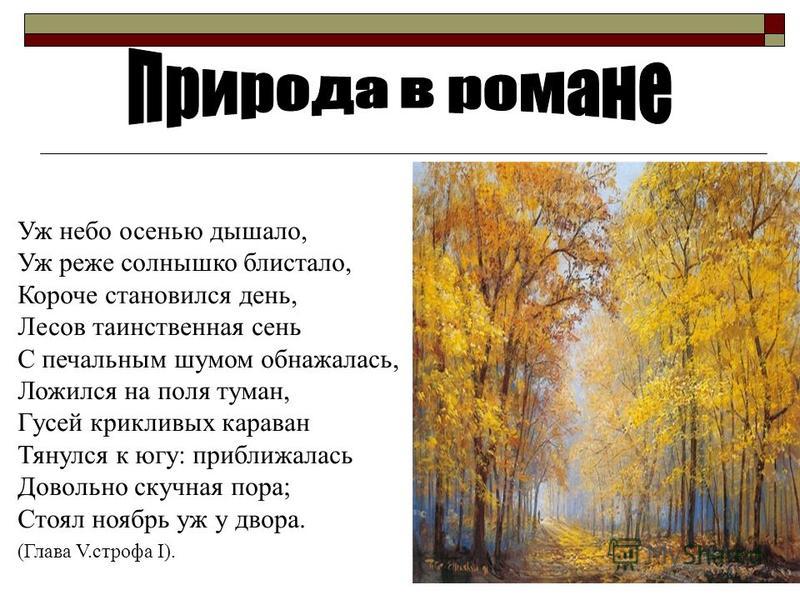 Стих о природе онегин. Уж небо осенью дышало. Уж небо осенью дышало уж реже. Пушкин осень уж небо осенью дышало. Стихотворение Пушкина уж небо осенью дышало.