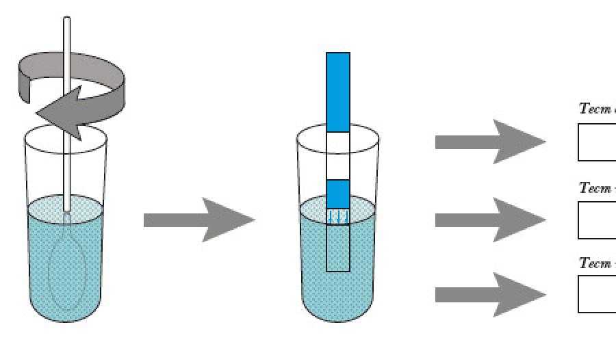 Как правильно делать тест на беременность. Как делать тест для беременных. Как работает тест на беременность. Как дклать текст на беременность. Как делать Теси на ьеремннностт.