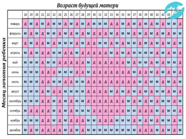 Календарь пола ребенка. Кто родится мальчик или девочка таблица. Таблица мальчика и девочки. Календарь мальчик или девочка. Календарь мальчик или девочка таблицы.