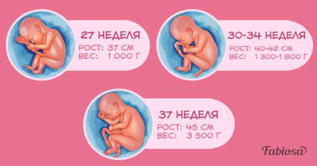 37 недель беременности сколько месяцев. Вес плода в 3 триместре беременности. Вес ребёнка по неделям беременности. Вес ребенка в утробе. Триместры беременности по неделям.