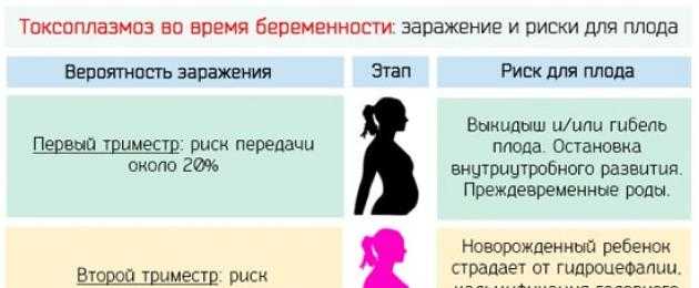 Молочница в первом триместре. Токсоплазмоз у беременных. Токсоплазмоз при беременности симптомы. Осложнения токсоплазмоза у беременных. Токсоплазмоз в 3 триместре беременности.