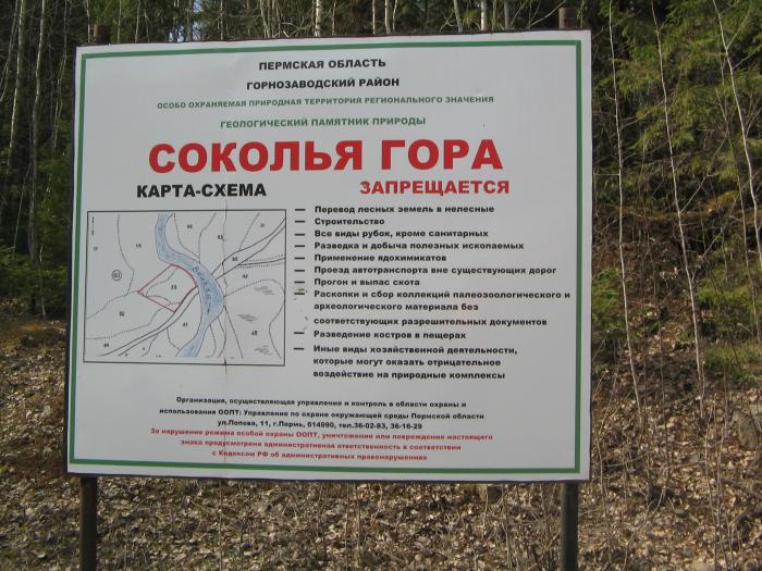 Карта соколиная гора