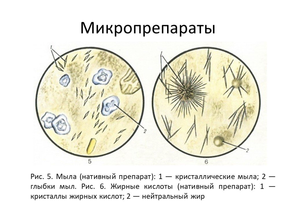 Копрограмма в картинках