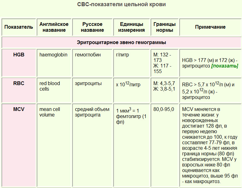 ГЛАВА 31 ХРОНИЧЕСКИЕ ИНФЕКЦИИ