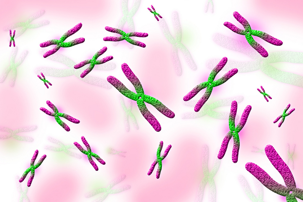 Картинка с хромосомами