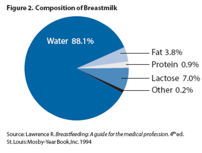Лактации состав. Основные компоненты грудного молока. Состав женского грудного молока таблица. Грудное молоко состав БЖУ. Состав шрудного молока жен.