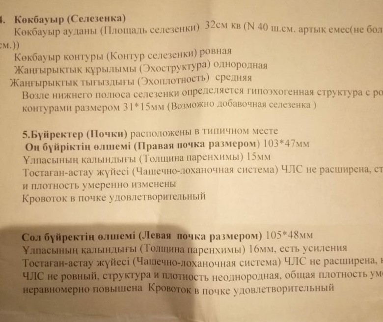 Норма селезенки по узи у детей. Площадь селезенки в норме. Добавочная доля селезенки. Добавочная долька селезенки на УЗИ протокол. Норма селезенки по УЗИ.