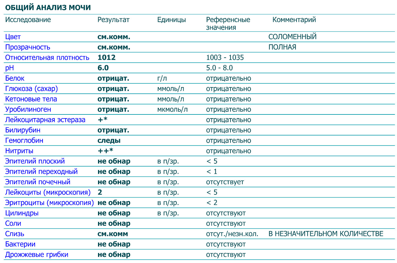 Анализ возраста по фото